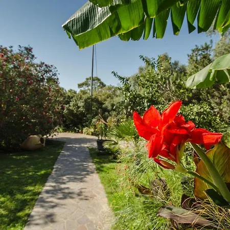 Agricosta Del Sud Studio5 - 4p Apartment Teulada